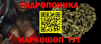 ешки Новокубанск