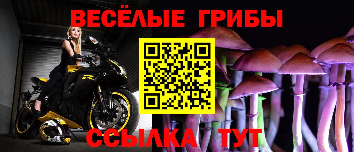 Галлюциногенные грибы Cubensis Сорочинск